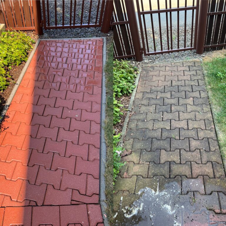 Červená betonová zámkovka