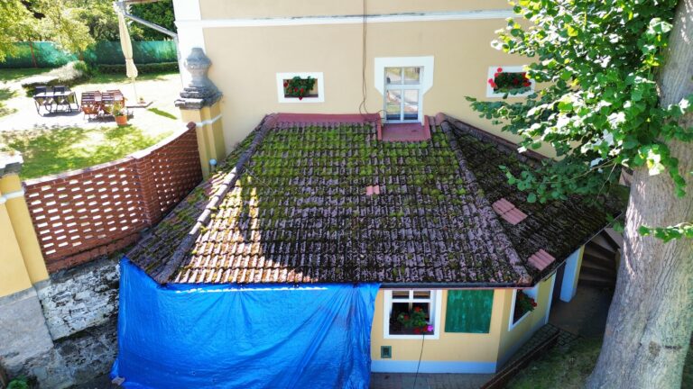 kralovskecisteni.cz čištění střechy před